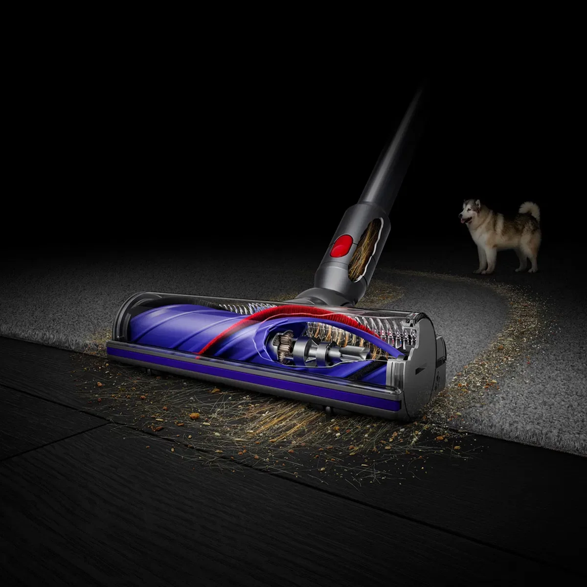 Dyson V8 Advanced thumbnail 6