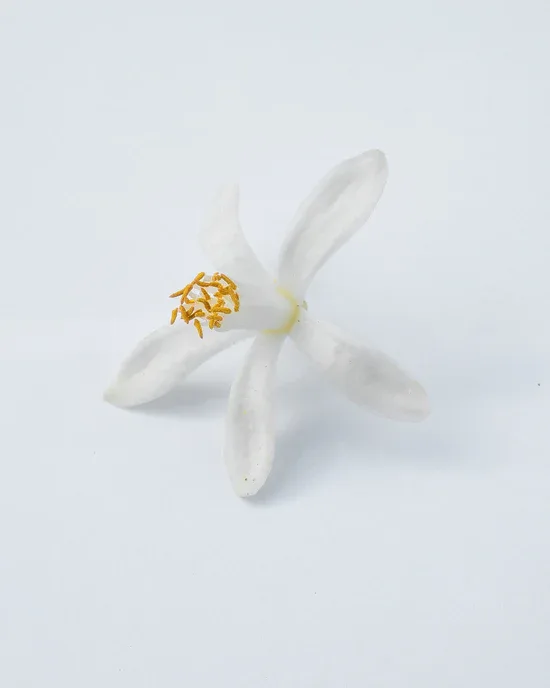 MATIERE PREMIERE NEROLI ORANGER Body Lotion thumbnail 2