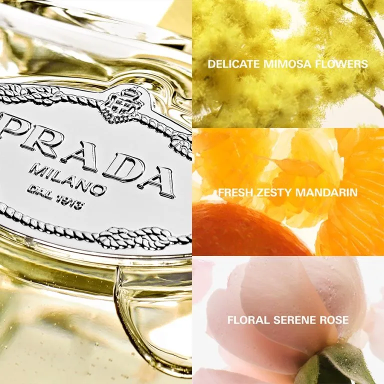 Infusion de Mimosa Eau De Parfum thumbnail 2