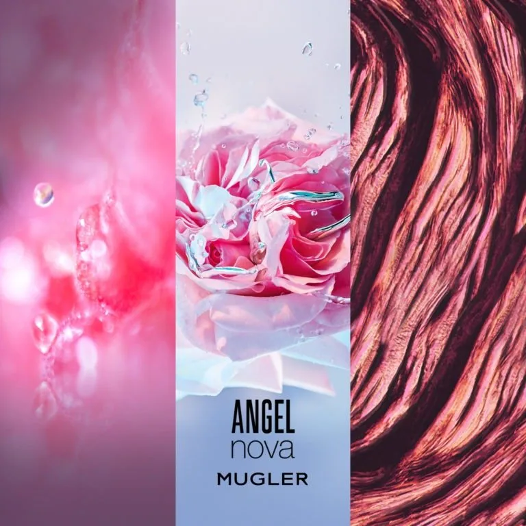 Angel Nova thumbnail 3