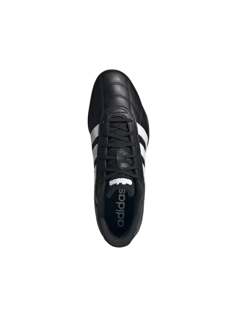ADIPISTA thumbnail 2