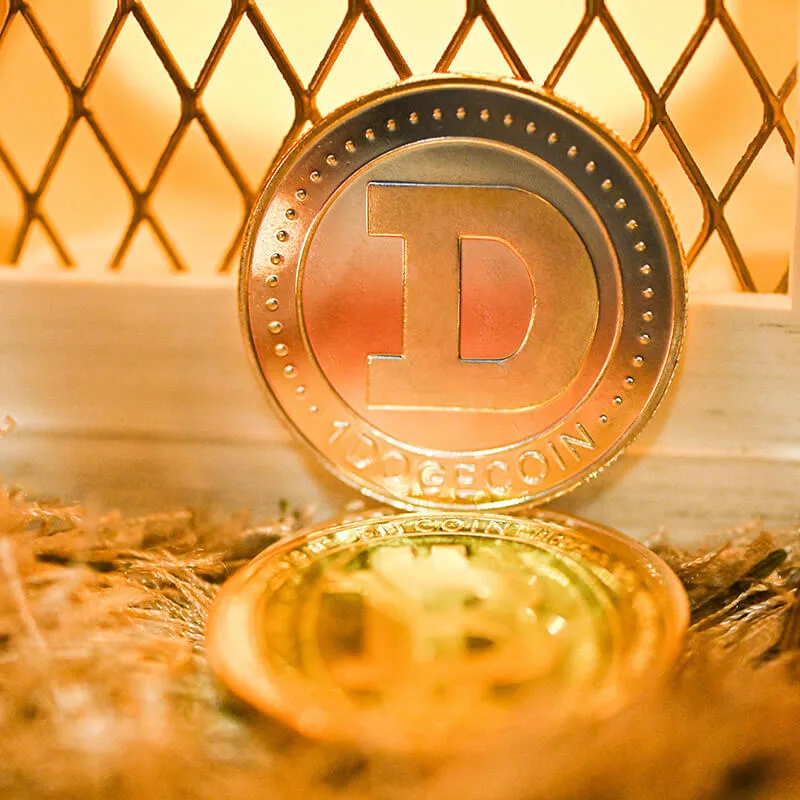 Dogecoin thumbnail 2